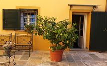 Billeder fra gæster i Flavia