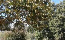 Billeder fra gæster i Casa Felice