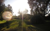 Billeder fra gæster i Maria Vittoria