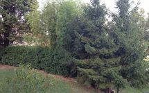 Billeder fra gæster i Civetta