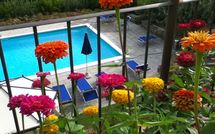 Billeder fra gæster i Palazzo Rosadi