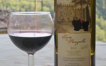 Billeder fra gæster i Villa Fabbroni - Fattoria San Polo