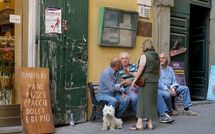 Billeder fra gæster i Terrazza