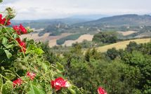 Billeder fra gæster i La Chiesina di Vittorio