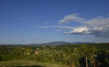 Billeder fra gæster i Collina