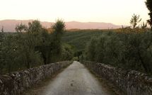 Billeder fra gæster i Collina