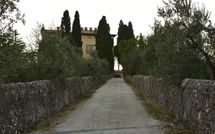 Billeder fra gæster i Collina