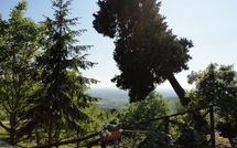 Billeder fra gæster i Borgo del Castagno