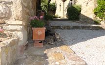 Billeder fra gæster i Borgo del Castagno