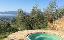 Billeder fra gæster i Villa Flora