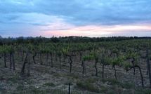 Billeder fra gæster i Agriturismo la Papessa