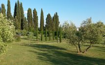 Billeder fra gæster i Villa Fontine