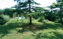 Billeder fra gæster i Casa Cipressi