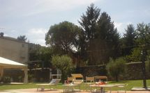 Billeder fra gæster i Flavia