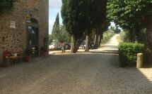 Billeder fra gæster i Drugo