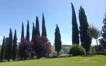 Billeder fra gæster i Casa Sabrina