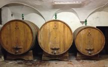 Billeder fra gæster i Villa del Mughetto