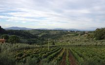 Billeder fra gæster i Villa del Mughetto