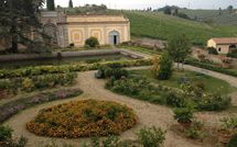 Billeder fra gæster i Villa del Mughetto