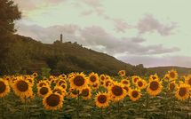 Billeder fra gæster i Casa San Martino