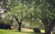 Billeder fra gæster i La Puzzola