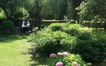 Billeder fra gæster i Tenuta Villa la Chiusa Schnautzer