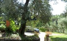 Billeder fra gæster i Tenuta Villa la Chiusa Schnautzer