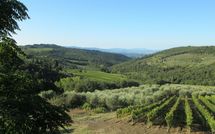 Billeder fra gæster i Agriturismo Concadoro