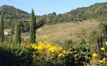 Billeder fra gæster i Villa Molinaccio