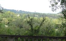 Billeder fra gæster i Villa Molinaccio