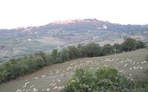 Billeder fra gæster i Villa Nibbiano