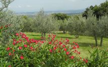 Billeder fra gæster i Villa Nibbiano