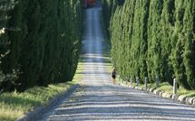 Billeder fra gæster i Le Gallozzole