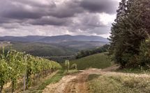 Billeder fra gæster i Tenuta