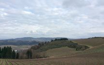 Billeder fra gæster i Mercatale