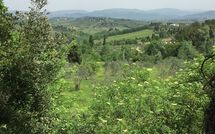 Billeder fra gæster i Villa Saladini