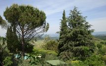 Billeder fra gæster i Giovanna Vacanze