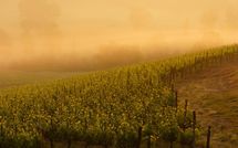 Billeder fra gæster i Casa Simona