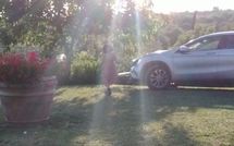 Billeder fra gæster i Country House Il Galleto