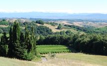 Billeder fra gæster i Villa Isabella