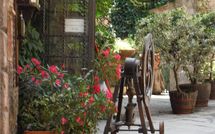 Billeder fra gæster i Nel Guasto