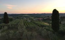 Billeder fra gæster i Villa Roberto