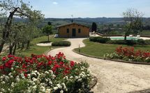 Billeder fra gæster i Villa Roberto