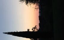 Billeder fra gæster i Podere Orietta