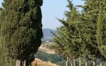 Billeder fra gæster i Casa Cipressi