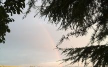 Billeder fra gæster i Casa Rossa