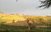 Billeder fra gæster i Casa Rossa