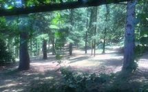 Billeder fra gæster i Palazzo Rosadi