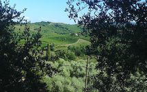 Billeder fra gæster i Villa la Vedetta