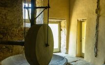 Billeder fra gæster i Podere Torremozza